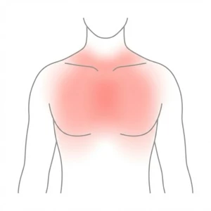 Back and chest zone